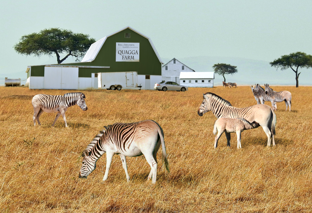 Quagga Farm